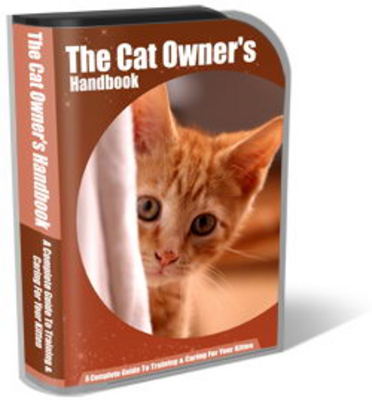 Product picture Cat Website Template Plr Pack
