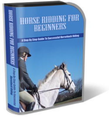 Product picture Horse Riding Website Template Plr Pack