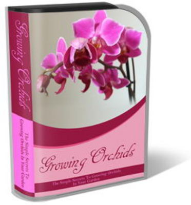 Product picture Growing Orchids Toddlers Website Template Plr Pack