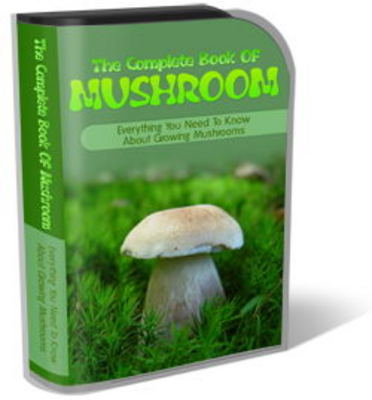 Product picture Mushroom Website Template Plr Pack