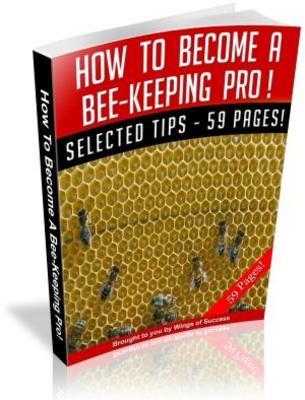 Product picture How To Become A Beekeeping Pro MRR Ebook with Giveaway Right