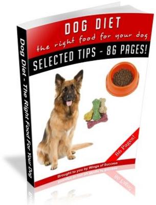 Product picture Dog Diet - The Right Food For Your Dog MRR with Giveaway Rights eBook
