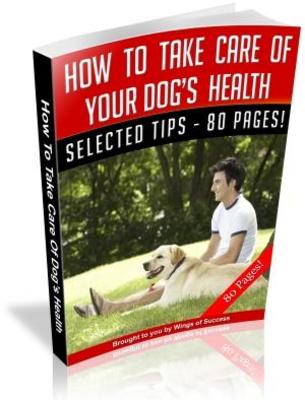 Product picture How To Take Care Of Your Dogs Health MRR Ebook