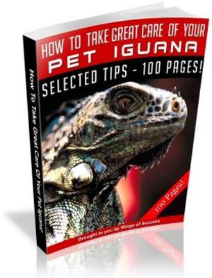 Product picture How to Take Care of Pet Iguanas MRR with Giveaway Rights eBook