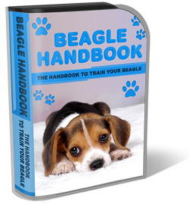Product picture Beagle Website Template Plr Pack - Beagle Puppies