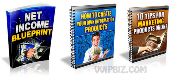 Product picture Net Income Blueprint with Master Resale Rights 