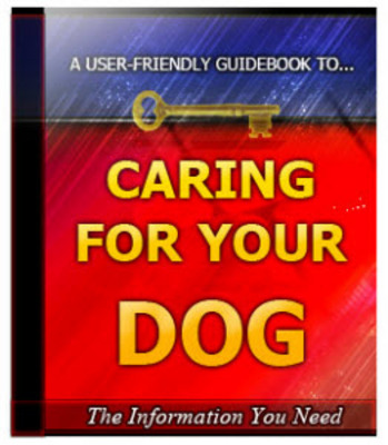 Product picture Caring For Your Dog Unrestricted PLR Ebook