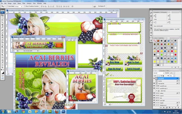 Product picture Acai Berries Niche Website Template - PSD Included