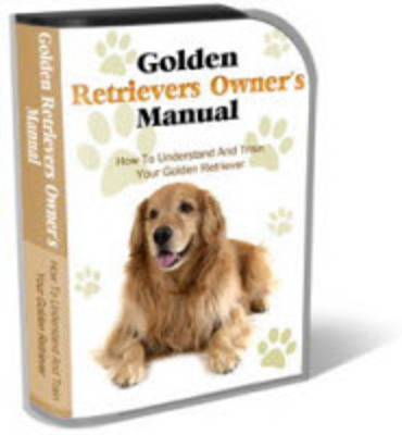 Product picture Golden Retriever Website Template Plr Pack