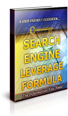 Product picture Search Engine Leverage Formula Unrestricted PLR Ebook