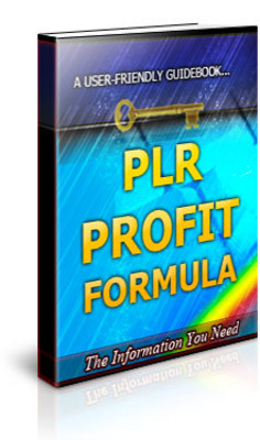 Product picture PLR Profit Formula Unrestricted PLR Ebook