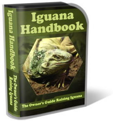 Product picture Iguana Website Template Plr Pack