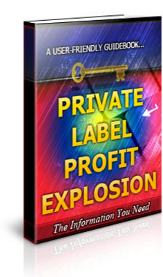 Product picture Private Label Profit Explosion - 101 Ways To Expand Your PLR Profits