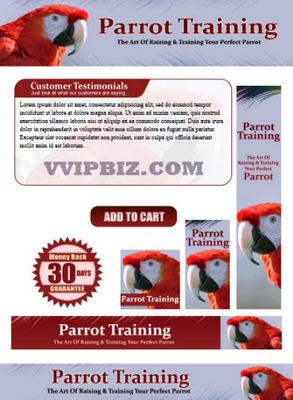 Product picture Parrot Training - Parrots Website Template Plr Pack