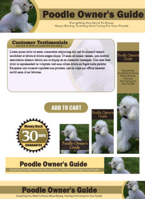Product picture Poodle Website Template PSD PLR Pack - Dog Breeds