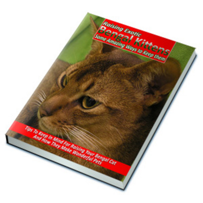 Product picture Raising Exotic Bengal Cats - Kittens & How They Make Wonderful Pets