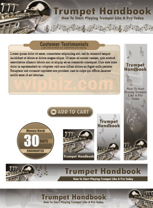 Product picture Trumpet Website Template Plr Pack