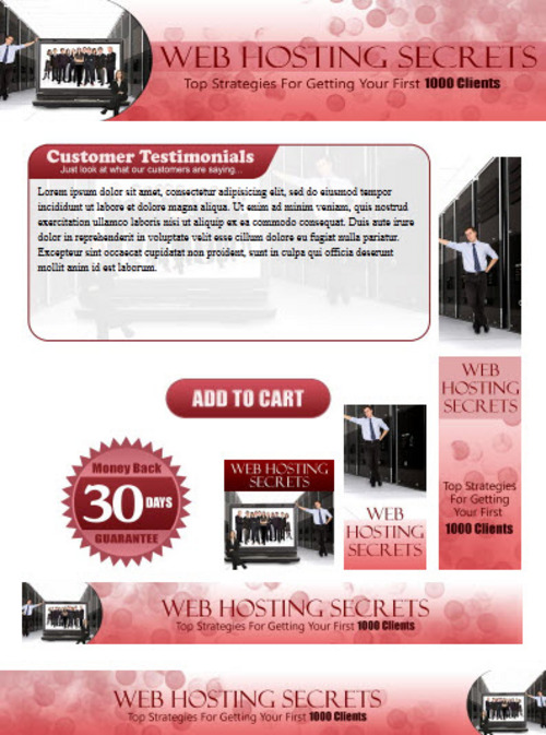 Product picture Web Hosting Website Template Plr Pack