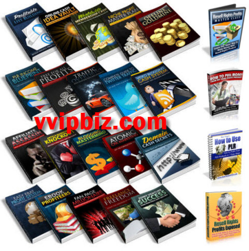 Product picture Internet Marketing Blowout - 20 PLR Ebooks Bundle