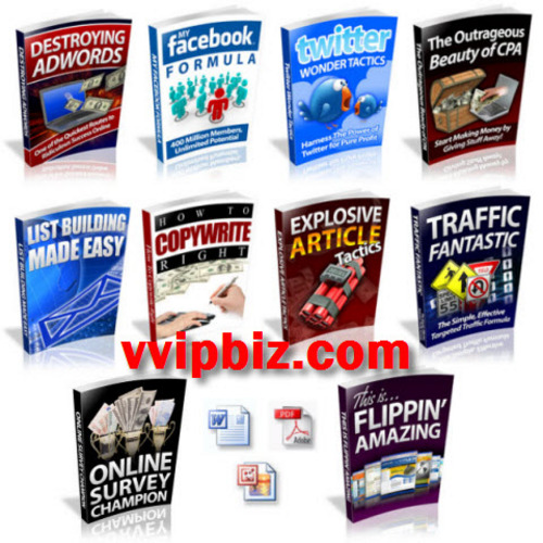 Product picture Internet Marketing/ Traffic Generation PLR eBooks Package