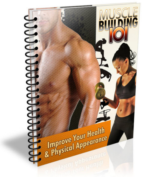 Product picture Muscle Building 101 PLR