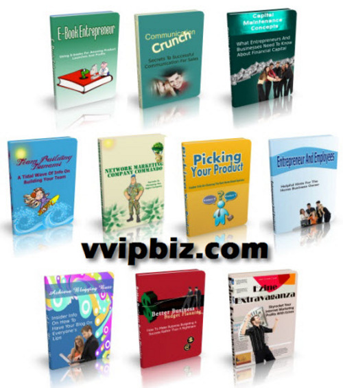 Product picture Big Business Breakthrough MRR Package