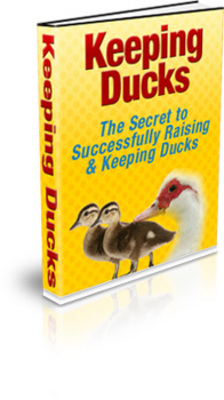 Product picture Keeping Ducks :The Secret to Successfully Raising!