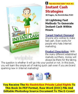 Product picture Instant Cash Strategies *NO RESTRICTION* PLR