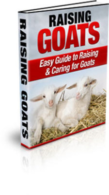 Product picture Easy Guide To Raising Goats & Caring For Goats - PLR 
