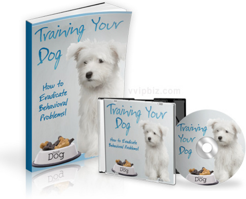 Product picture Training Your Dog : How to Eradicate Behavioral Problems - MRR