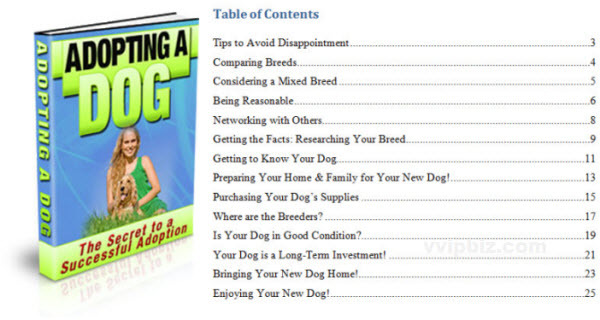 Product picture The Secrets To Successfully Adopting A Dog - PLR 