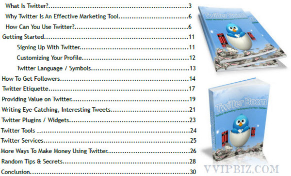 Product picture Twitter Boom Tips And Techniques For Online Marketers - MRR