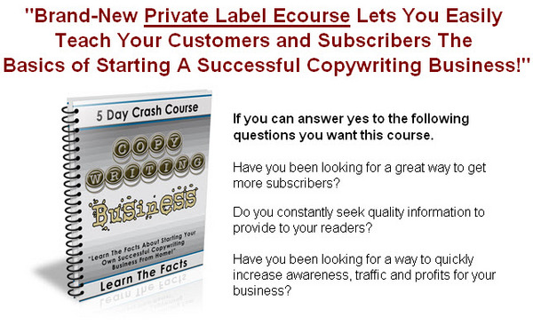 Product picture Copywriting Business Crash Course - PLR 