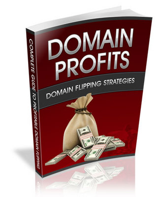Product picture DOMAIN PROFITS: DOMAIN FLIPPING STRATEGIES 