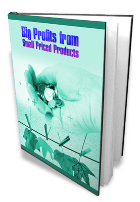 Product picture Big Profits From Small Priced Products MRR Ebook
