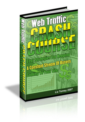 Product picture Web Traffic Crash Course MRR