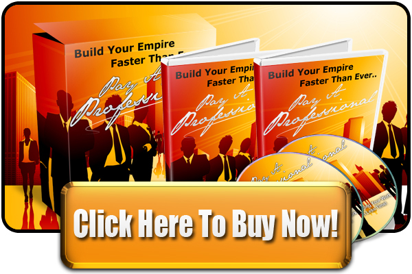 Product picture Pay A Professional - Guide To Outsourcing