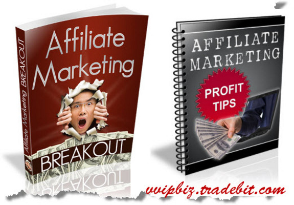 Product picture Affiliate Marketing Breakout