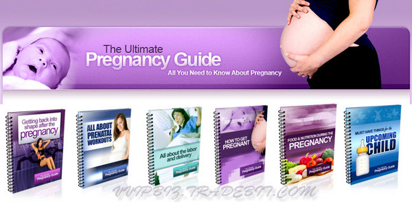 Product picture The Ultimate Pregnancy Guide