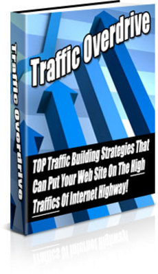 Product picture Traffic Overdrive - Monetize Your Traffic.... PLR
