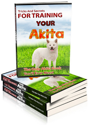 Product picture Akita  Inu Dogs -  A Complete Guide to Akita Care