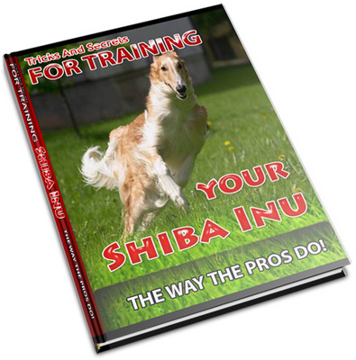 Product picture Shiba Inu Secrets - How To Keep Your Shiba Inu Healthy