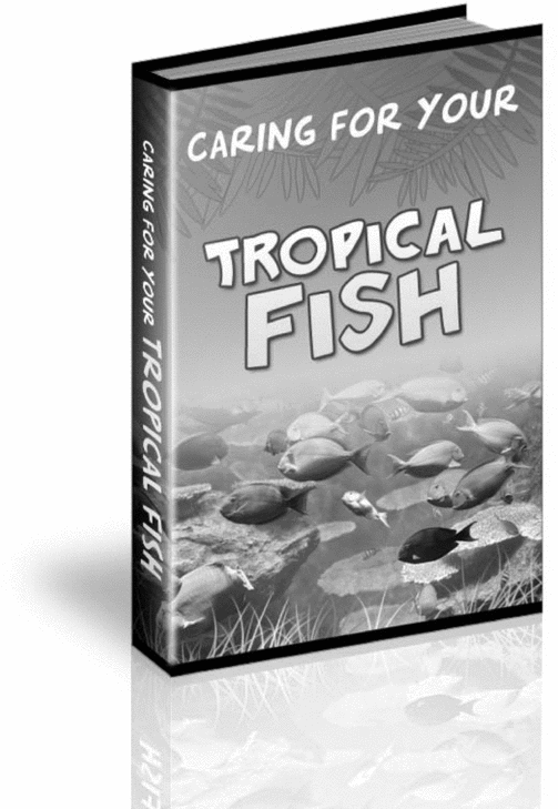 Product picture Tropical Aquarium Fish Care Guide